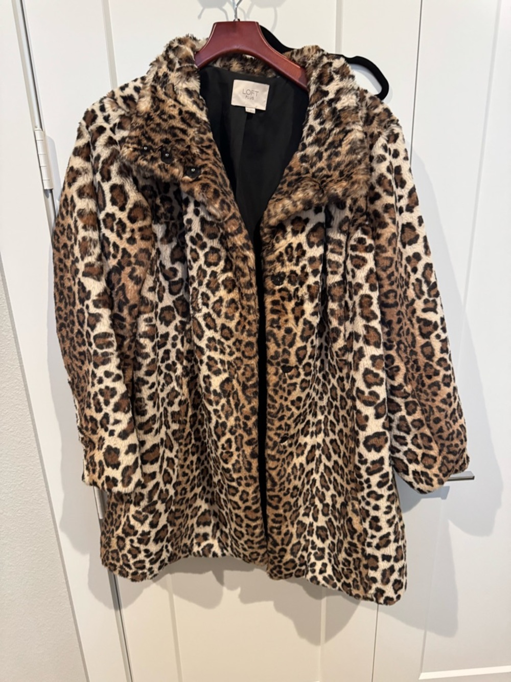 LOFT Leopard-Print Faux Fur Teddy Jacket - Brown & Black